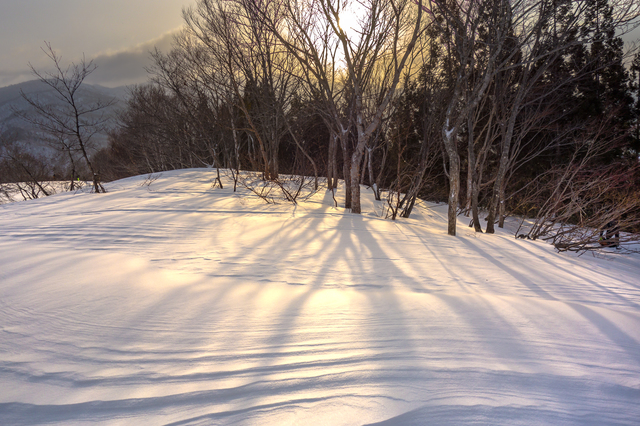 雪景色１