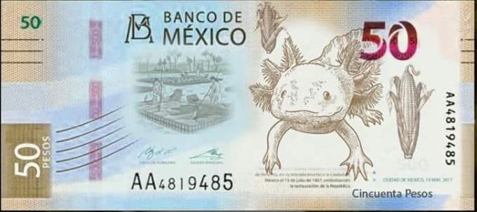 メキシコ新札